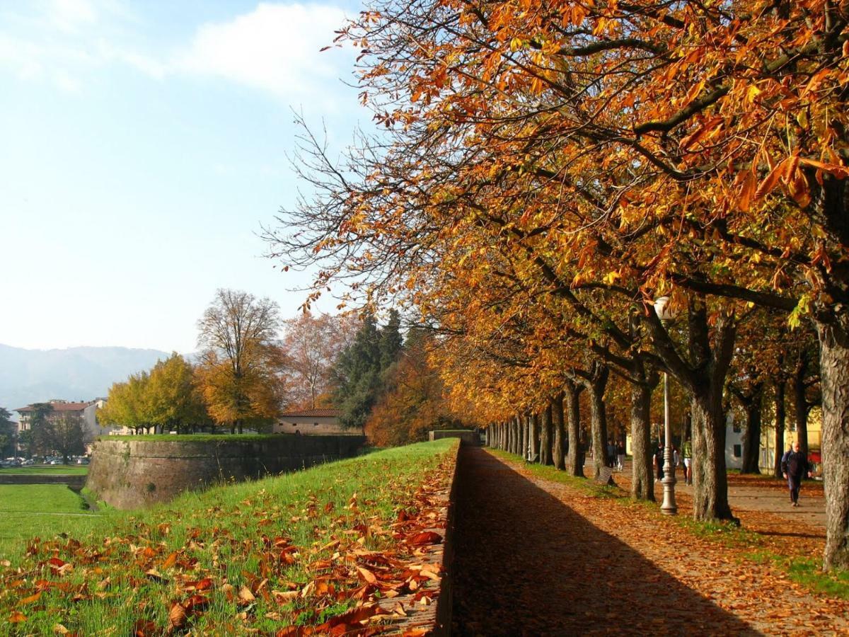 Villa Grespola Lucca Exterior foto